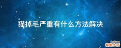 猫掉毛严重有什么方法解决