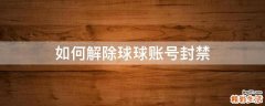 如何解除球球账号封禁