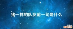 猪一样的队友前一句是什么