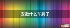 安徽什么车牌子