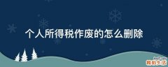 个人所得税作废的怎么删除