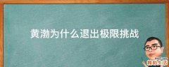 黄渤为什么退出极限挑战