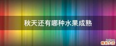 秋天还有哪种水果成熟