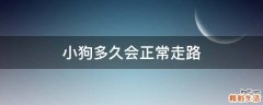 小狗多久会正常走路
