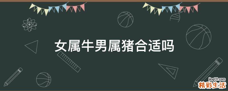 女属牛男属猪合适吗
