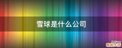 雪球是什么公司