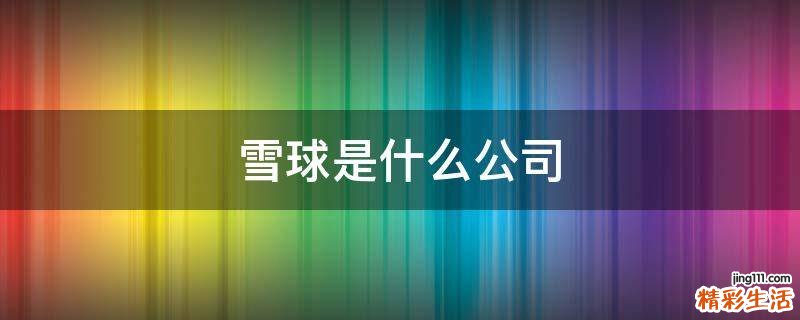 雪球是什么公司