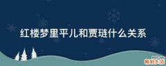 红楼梦里平儿和贾琏什么关系