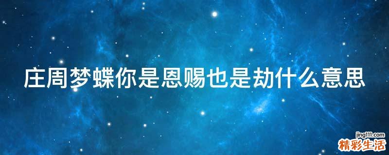 庄周梦蝶你是恩赐也是劫什么意思