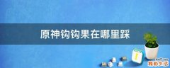 原神钩钩果在哪里踩