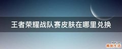 王者荣耀战队赛皮肤在哪里兑换