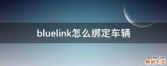 bluelink怎么绑定车辆