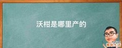 沃柑是哪里产的