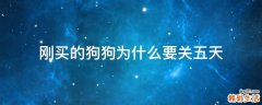 刚买的狗狗为什么要关五天