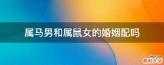 属马男和属鼠女的婚姻配吗