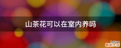 山茶花可以在室内养吗
