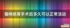 猫咪绝育手术后多久可以正常活动