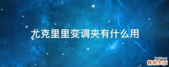 尤克里里变调夹有什么用