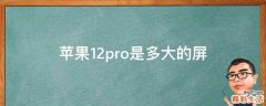苹果12pro是多大的屏