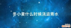 冬小麦什么时候浇返青水