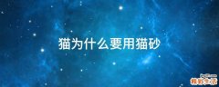猫为什么要用猫砂