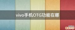 vivo手机OTG功能在哪