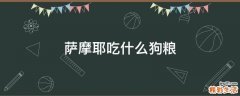 萨摩耶吃什么狗粮