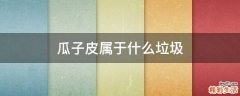 瓜子皮属于什么垃圾