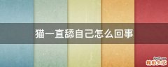 猫一直舔自己怎么回事