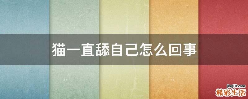 猫一直舔自己怎么回事