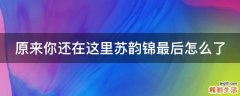 原来你还在这里苏韵锦最后怎么了