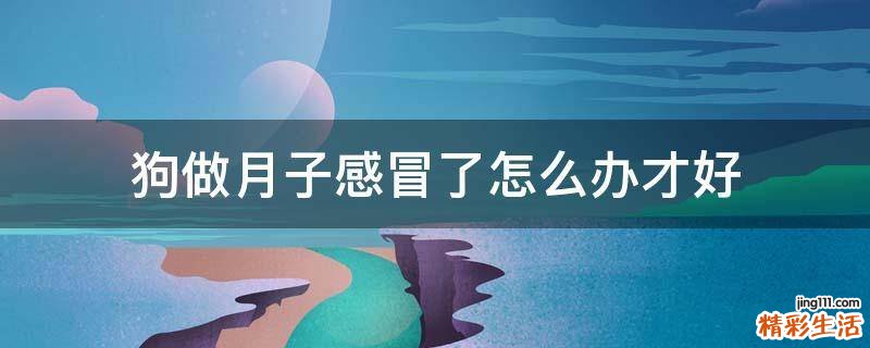 狗做月子感冒了怎么办才好