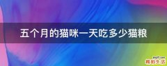 五个月的猫咪一天吃多少猫粮