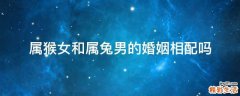 属猴女和属兔男的婚姻相配吗