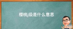 樱桃j级是什么意思