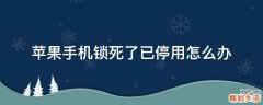 苹果手机锁死了已停用怎么办