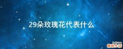 29朵玫瑰花代表什么
