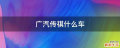 广汽传祺什么车