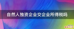 自然人独资企业交企业所得税吗