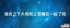 锦衣之下大杨和上官曦在一起了吗