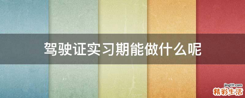 驾驶证实习期能做什么呢