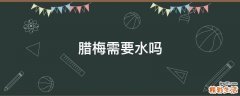 腊梅需要水吗