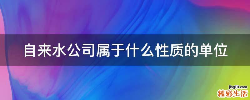 自来水公司属于什么性质的单位