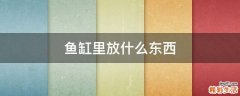 鱼缸里放什么东西