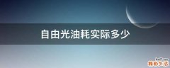 自由光油耗实际多少