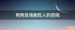 狗狗发烧能吃人的药吗