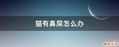 猫有鼻屎怎么办