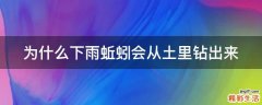 为什么下雨蚯蚓会从土里钻出来