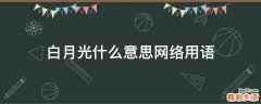 白月光什么意思网络用语