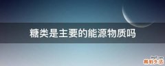 糖类是主要的能源物质吗